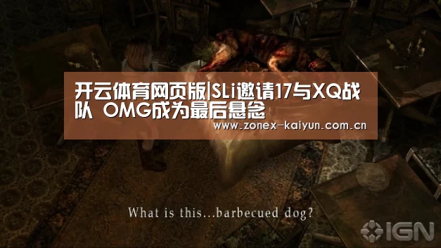 开云体育网页版|SLi邀请17与XQ战队 OMG成为最后悬念