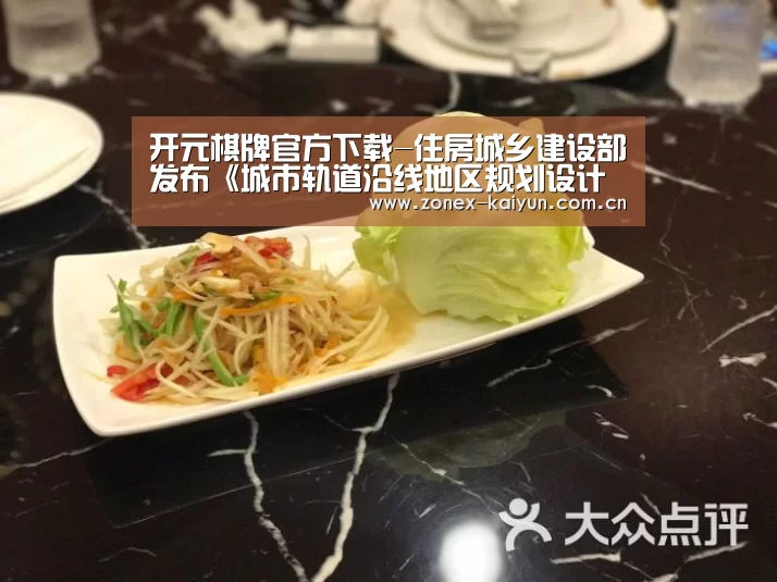 开元棋牌官方下载-住房城乡建设部发布《城市轨道沿线地区规划设