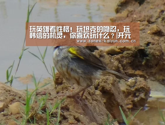 玩英雄看性格！玩坦克的隐忍，玩韩信的机灵，你喜欢玩什么？|开