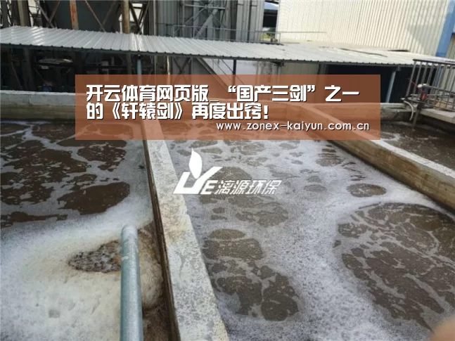 开云体育网页版_“国产三剑”之一的《轩辕剑》再度出窍！