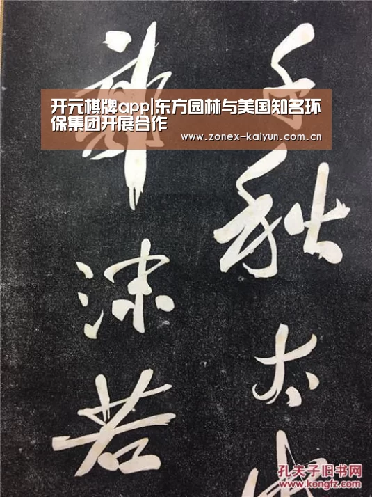 开元棋牌app|东方园林与美国知名环保集团开展合作(图3) 开云体育网页版